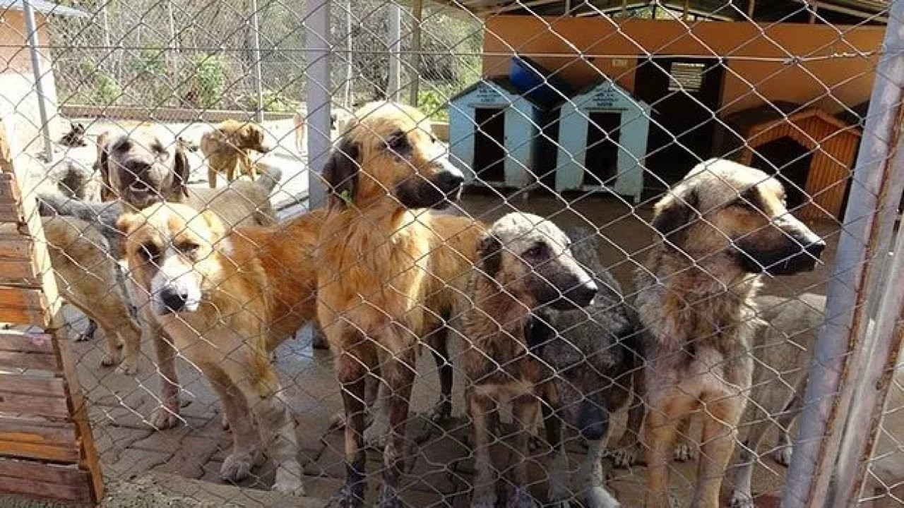 'Katliam Yasası' 42 saatlik tartışmalı görüşmelerin ardından komisyonda kabul edildi