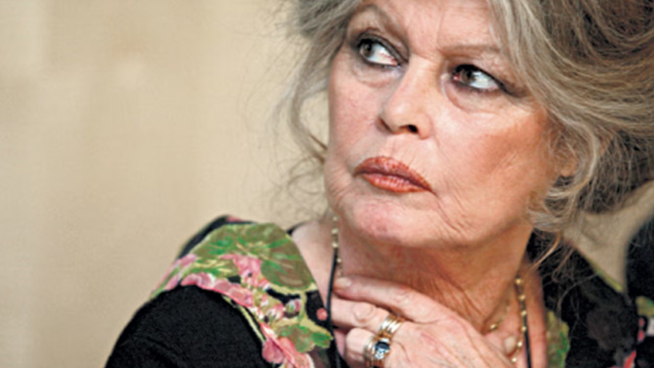 Brigitte Bardot'dan Erdoğan'a sokak hayvanları için mektup