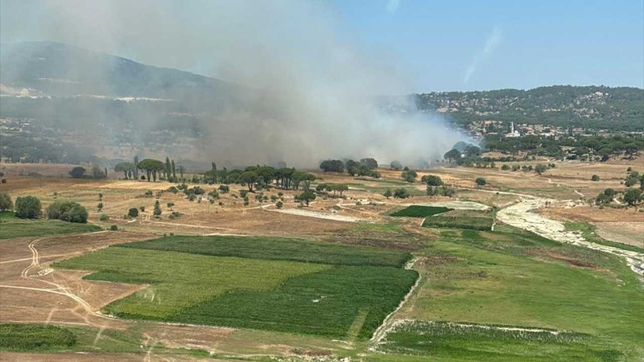 Muğla'nın Milas ilçesinde ikinci orman yangını çıktı