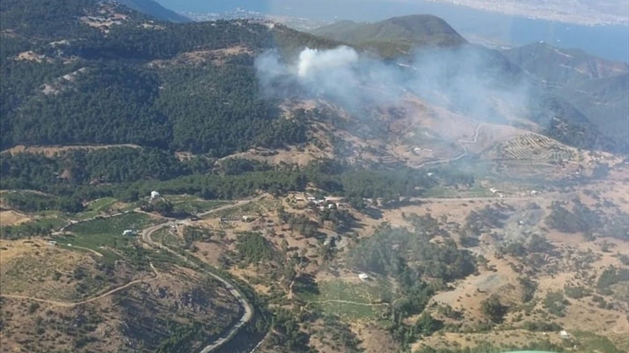 İzmir'de çıkan orman yangını kontrol altına alındı