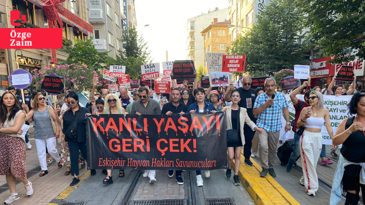 Yüzlerce kişi sokak hayvanları için Ulus Anıtı’ndan Yediler Parka yürüdü: 'Yasayı geri çek'