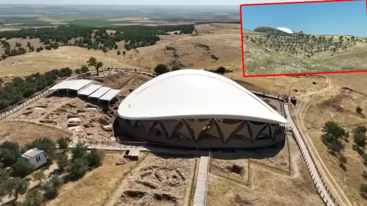 Göbeklitepe'de ağaç dikme iddiasına kazı başkanından yalanlama geldi