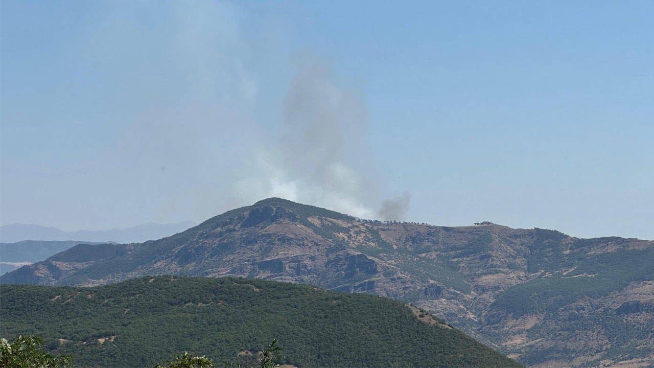 Dersim'de meşe ağaçlarının bulunduğu bölgede yangın