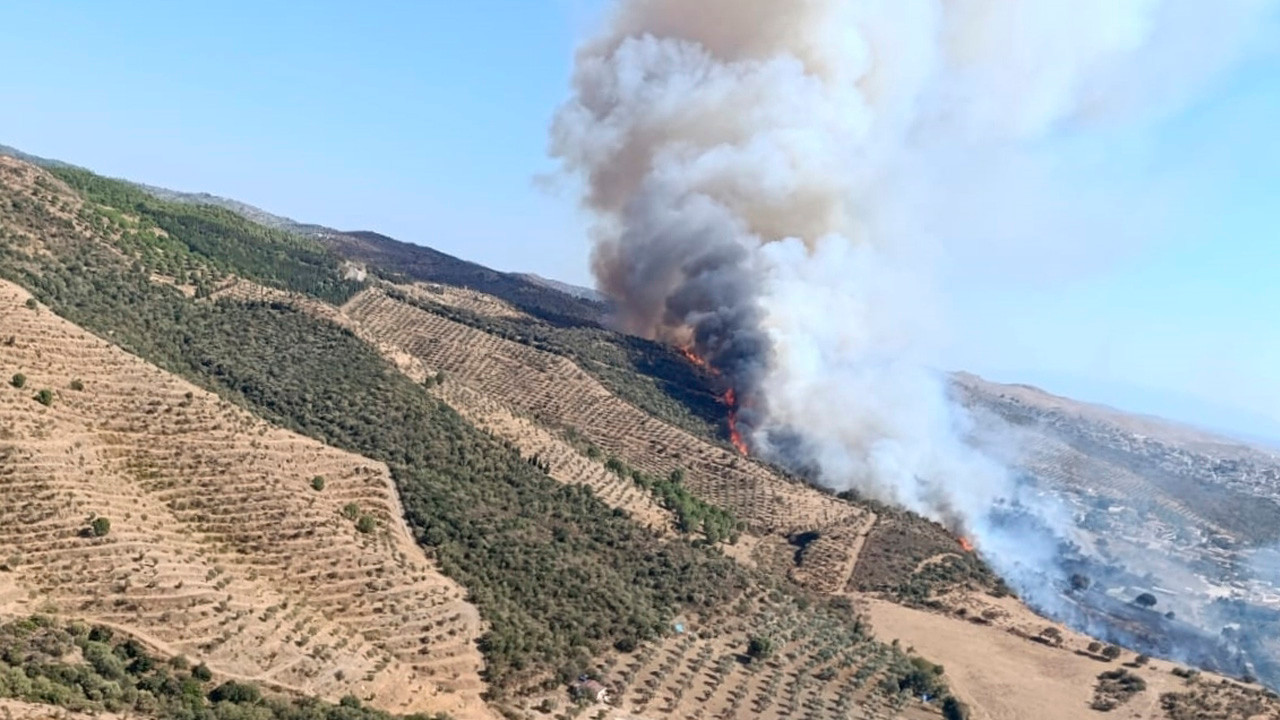 İzmir ve Manisa'da orman yangınları