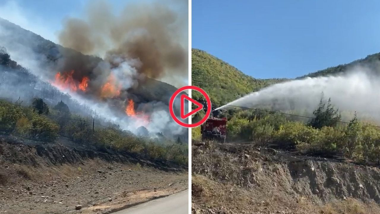 Tokat'ta orman yangını: 8 hektar alan küle döndü