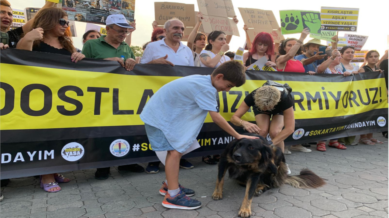 Çuval içinde ölü bulunan köpekler hakkında Uzunköprü Belediyesi'nden açıklama