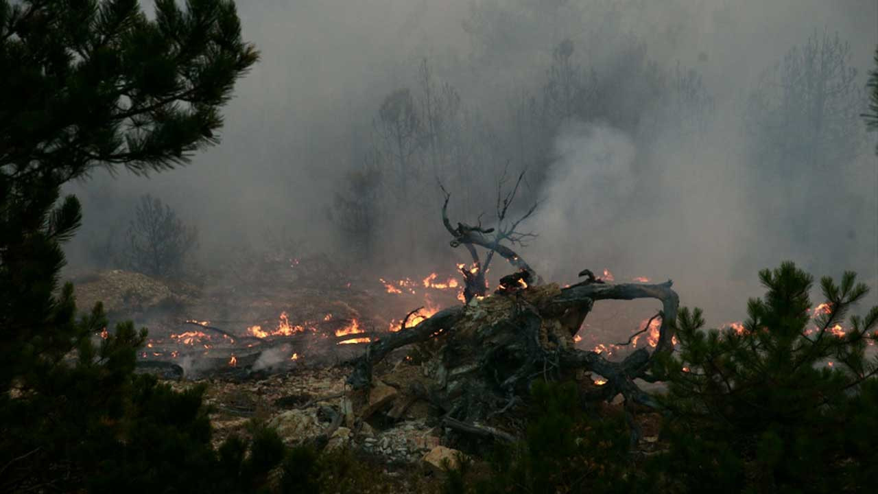 Bolu'daki orman yangını devam ediyor: 100 hektar zarar gördü, 281 kişi tahliye edildi