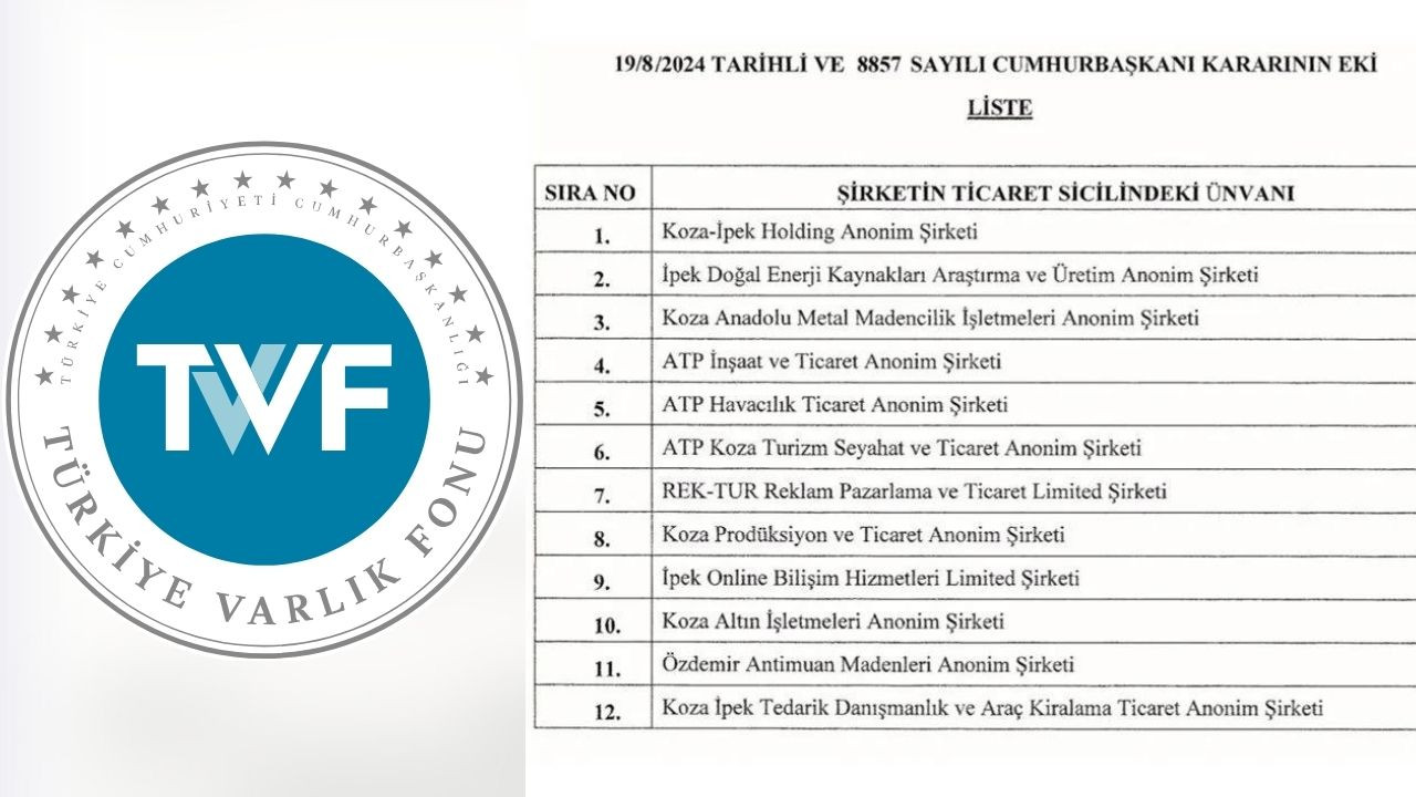 12 şirketin hisseleri Varlık Fonu'na aktarıldı