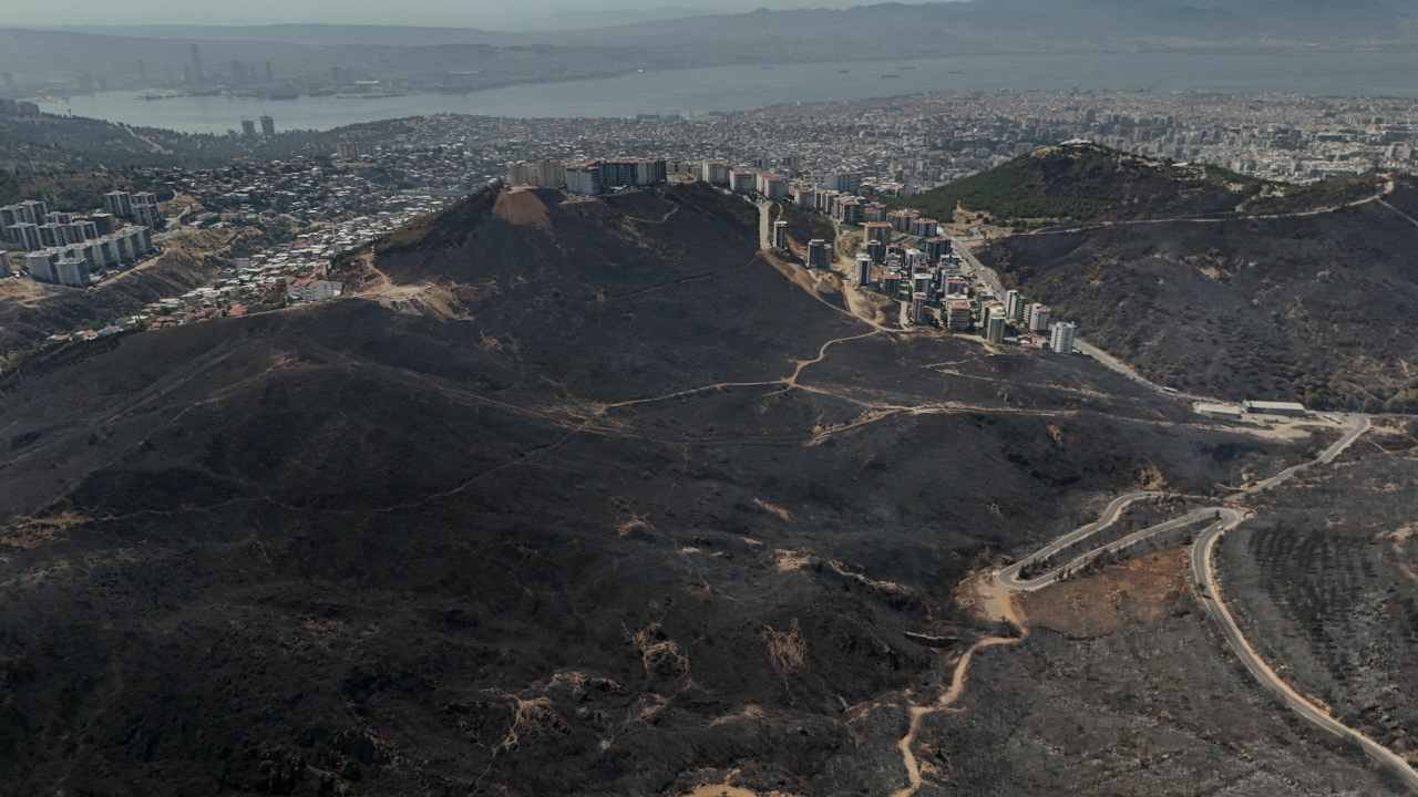 Ege'de yeşil alanlar yerini griye bıraktı: Yanan ormanlar havadan görüntülendi