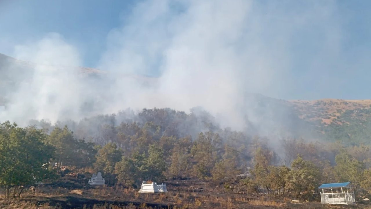 Dersim'de orman yangını