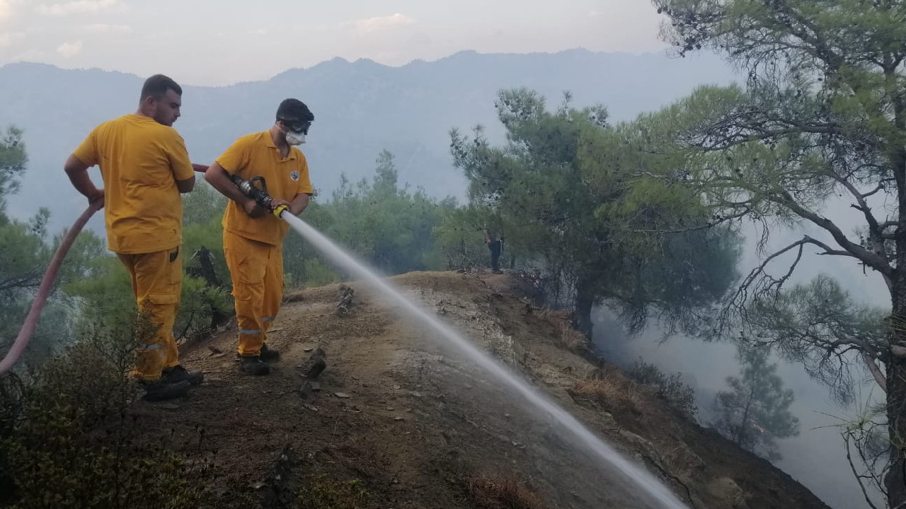 Maraş'ta orman yangını: Müdahale ediliyor