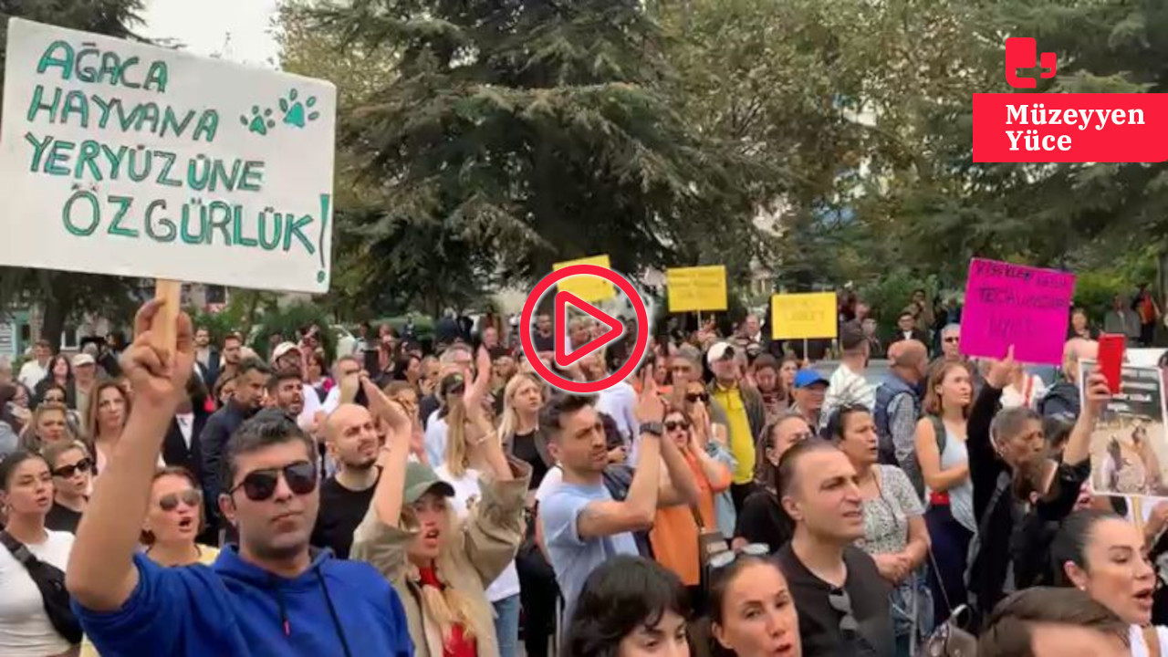 Gebze Belediyesi önünde hayvan katliamı protestosu: Belediye Başkanı'na 'istifa et' çağrısı